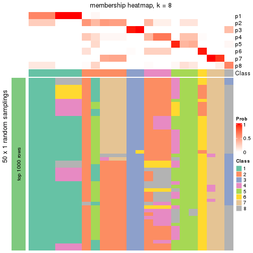 plot of chunk tab-node-013-membership-heatmap-7