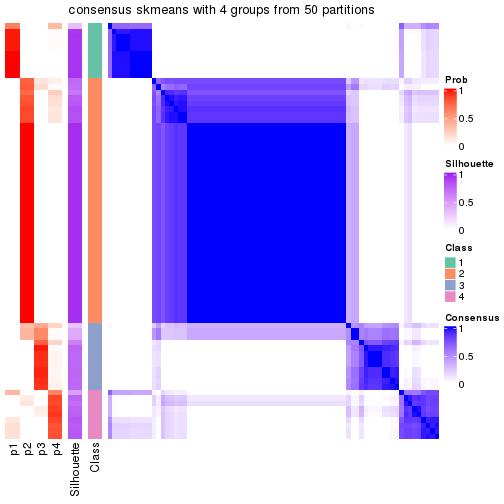 plot of chunk tab-node-02-consensus-heatmap-3