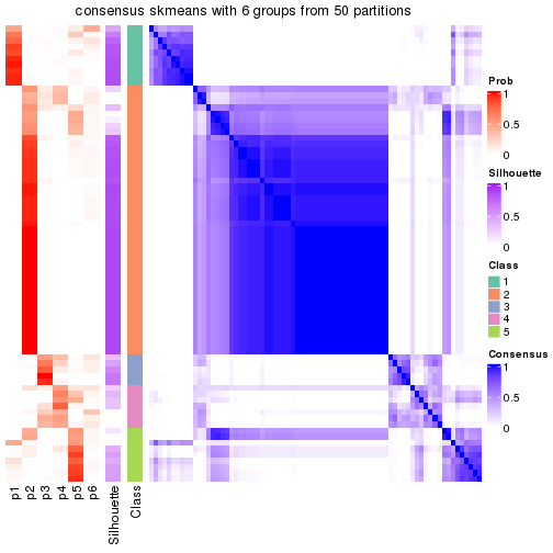 plot of chunk tab-node-02-consensus-heatmap-5