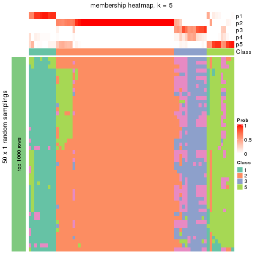 plot of chunk tab-node-02-membership-heatmap-4