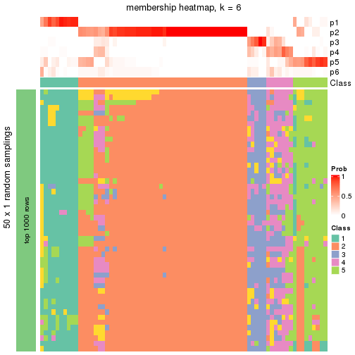 plot of chunk tab-node-02-membership-heatmap-5