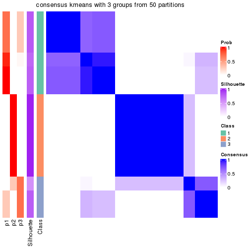 plot of chunk tab-node-021-consensus-heatmap-2