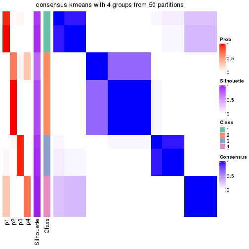 plot of chunk tab-node-021-consensus-heatmap-3