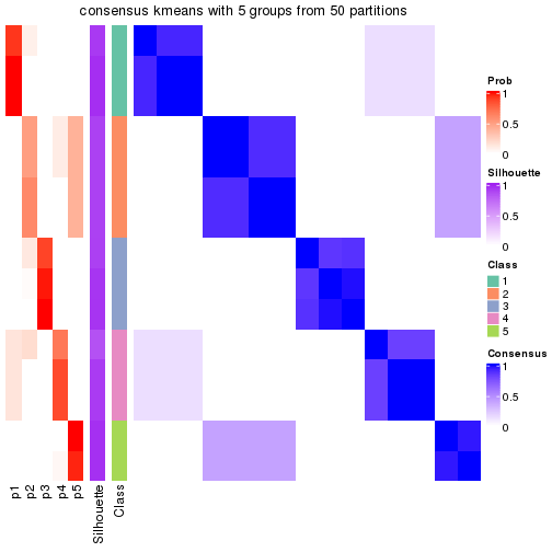 plot of chunk tab-node-021-consensus-heatmap-4