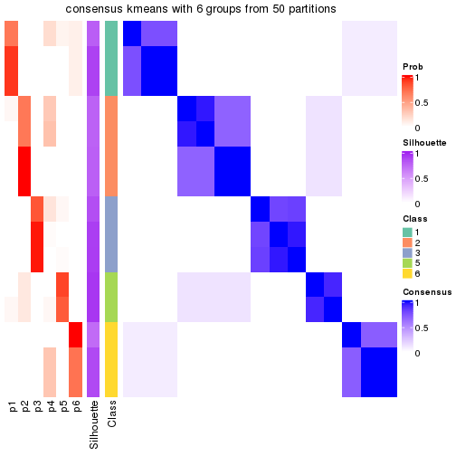 plot of chunk tab-node-021-consensus-heatmap-5