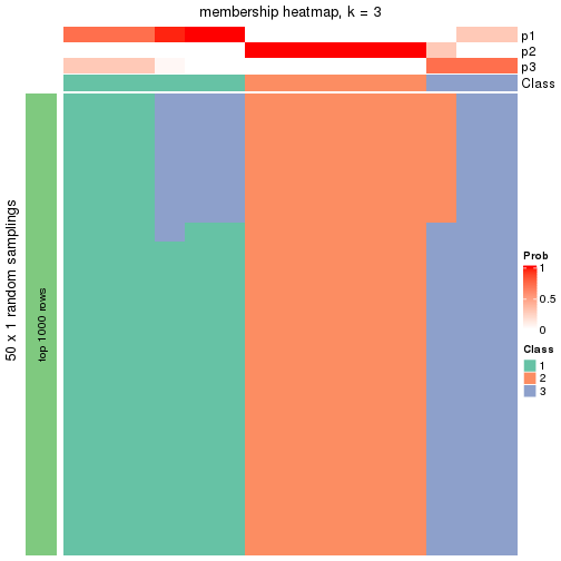 plot of chunk tab-node-021-membership-heatmap-2