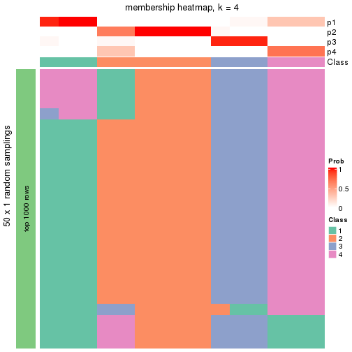 plot of chunk tab-node-021-membership-heatmap-3