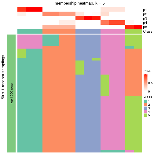 plot of chunk tab-node-021-membership-heatmap-4