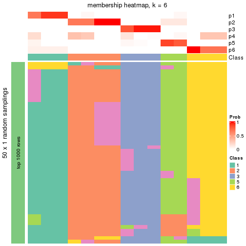 plot of chunk tab-node-021-membership-heatmap-5