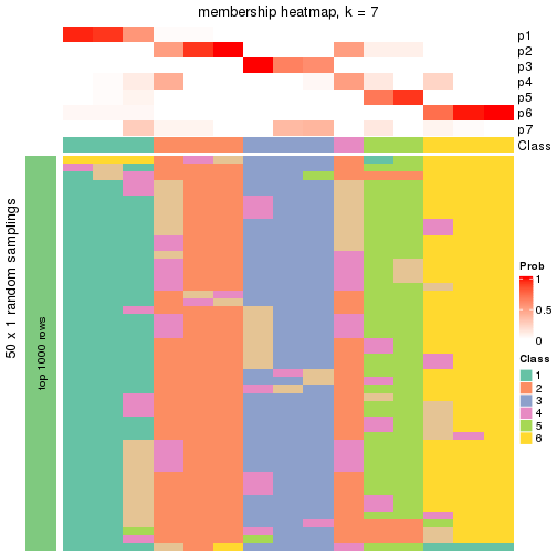 plot of chunk tab-node-021-membership-heatmap-6