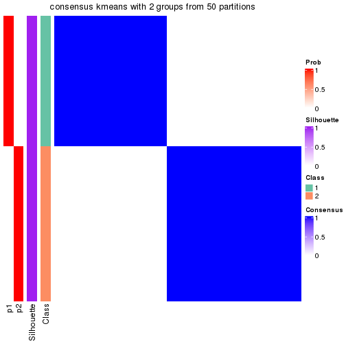 plot of chunk tab-node-022-consensus-heatmap-1