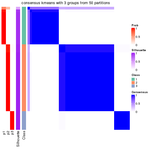 plot of chunk tab-node-022-consensus-heatmap-2