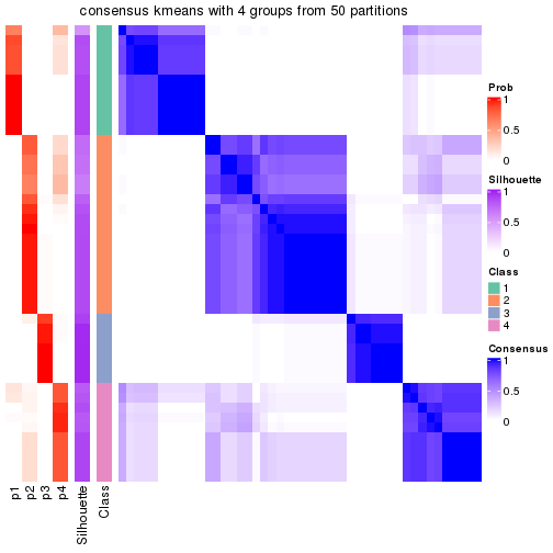 plot of chunk tab-node-022-consensus-heatmap-3