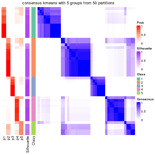 plot of chunk tab-node-022-consensus-heatmap-4