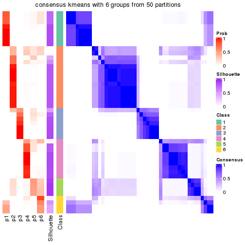 plot of chunk tab-node-022-consensus-heatmap-5