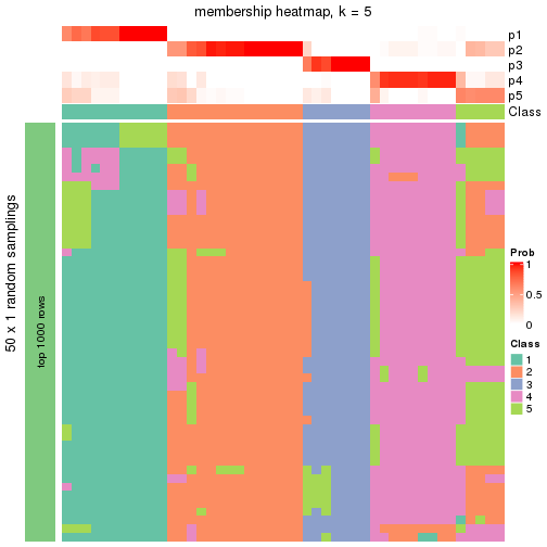 plot of chunk tab-node-022-membership-heatmap-4