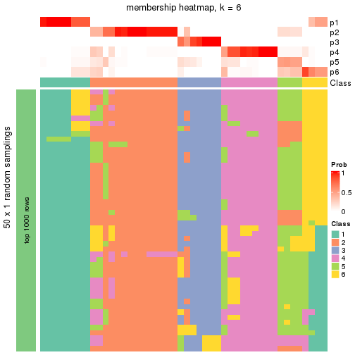 plot of chunk tab-node-022-membership-heatmap-5