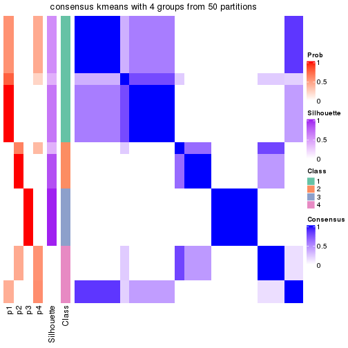 plot of chunk tab-node-0222-consensus-heatmap-3