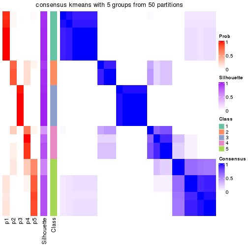 plot of chunk tab-node-0222-consensus-heatmap-4