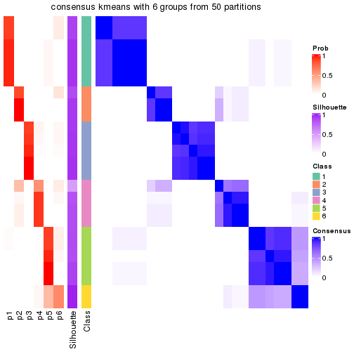 plot of chunk tab-node-0222-consensus-heatmap-5