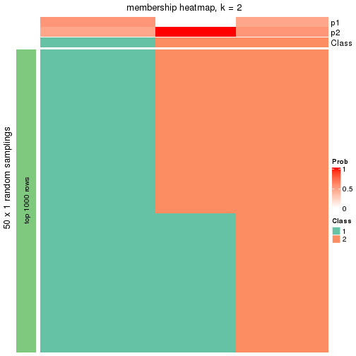 plot of chunk tab-node-0222-membership-heatmap-1