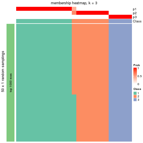 plot of chunk tab-node-0222-membership-heatmap-2