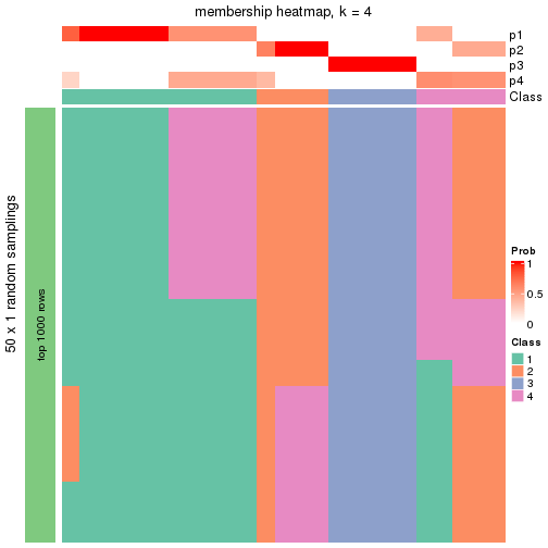 plot of chunk tab-node-0222-membership-heatmap-3