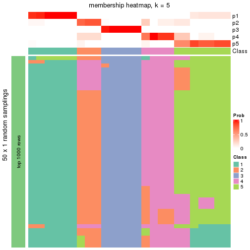 plot of chunk tab-node-0222-membership-heatmap-4