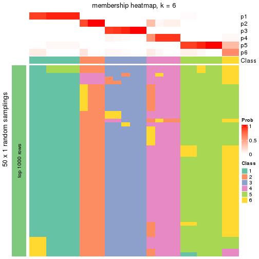 plot of chunk tab-node-0222-membership-heatmap-5