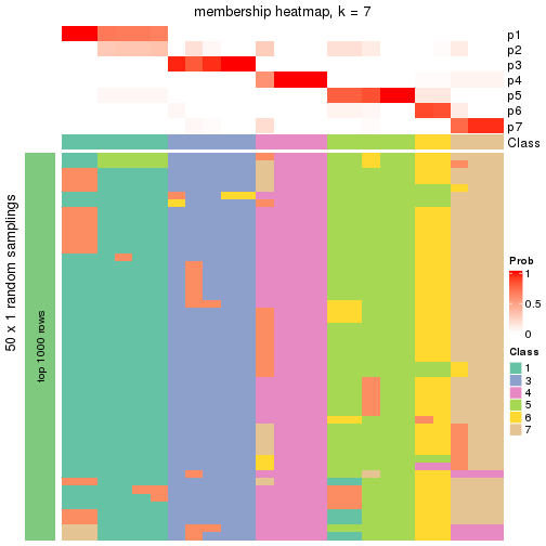 plot of chunk tab-node-0222-membership-heatmap-6