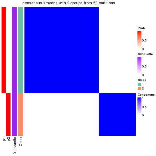 plot of chunk tab-node-02221-consensus-heatmap-1