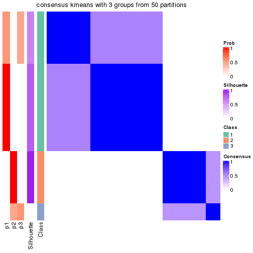 plot of chunk tab-node-02221-consensus-heatmap-2