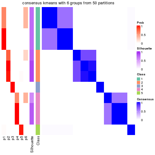 plot of chunk tab-node-02221-consensus-heatmap-5