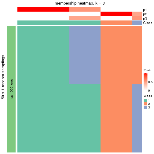 plot of chunk tab-node-02221-membership-heatmap-2