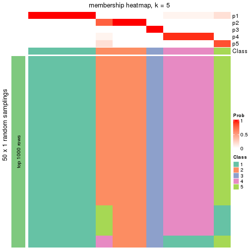 plot of chunk tab-node-02221-membership-heatmap-4