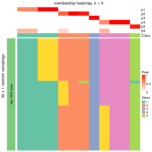 plot of chunk tab-node-02221-membership-heatmap-5