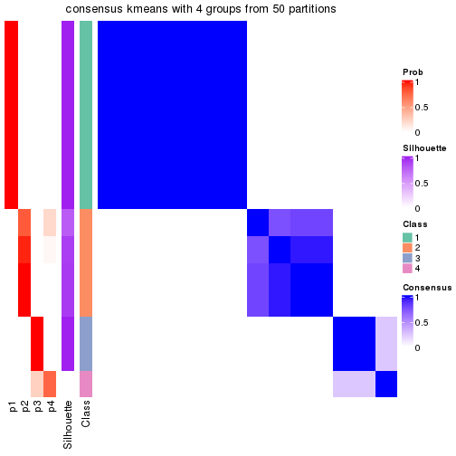 plot of chunk tab-node-023-consensus-heatmap-3