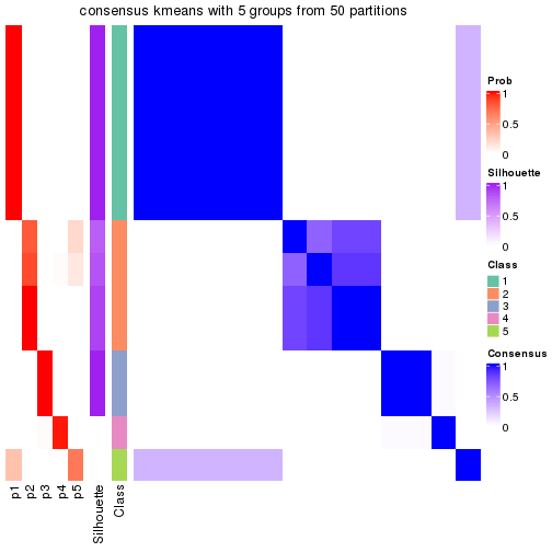 plot of chunk tab-node-023-consensus-heatmap-4