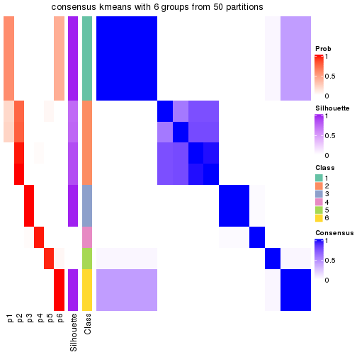 plot of chunk tab-node-023-consensus-heatmap-5