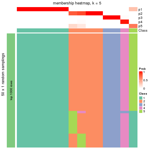 plot of chunk tab-node-023-membership-heatmap-4