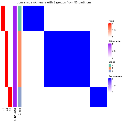 plot of chunk tab-node-03-consensus-heatmap-2