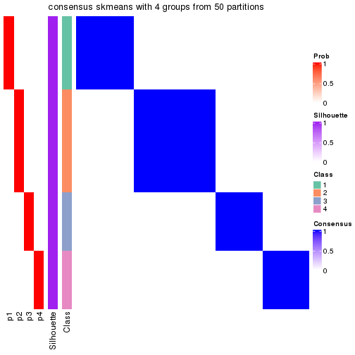 plot of chunk tab-node-03-consensus-heatmap-3