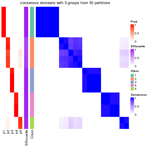 plot of chunk tab-node-03-consensus-heatmap-4