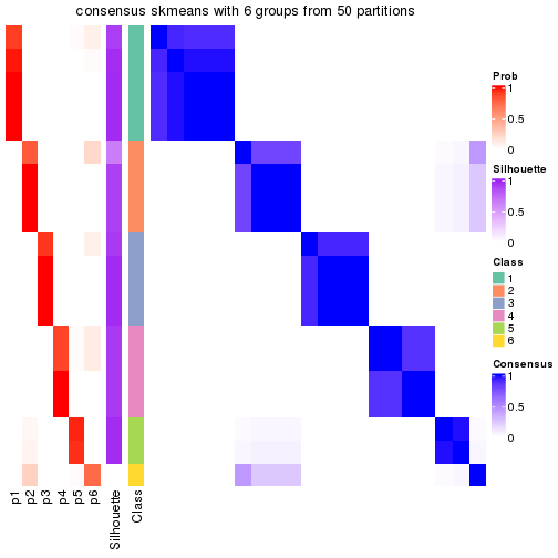 plot of chunk tab-node-03-consensus-heatmap-5