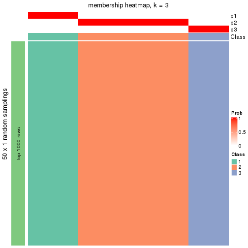 plot of chunk tab-node-03-membership-heatmap-2