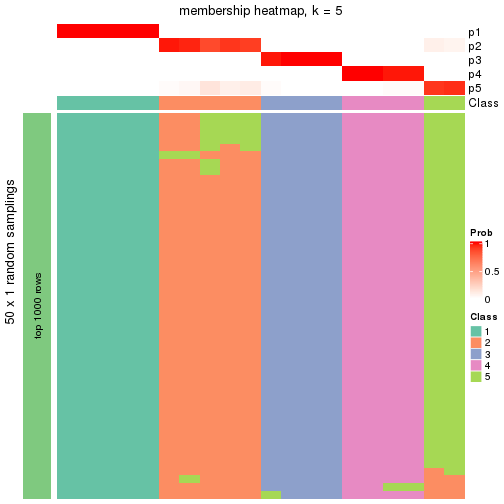 plot of chunk tab-node-03-membership-heatmap-4