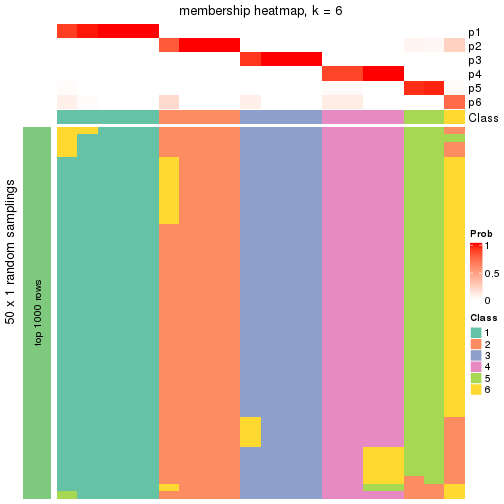 plot of chunk tab-node-03-membership-heatmap-5