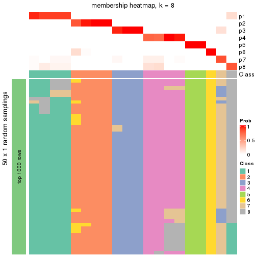 plot of chunk tab-node-03-membership-heatmap-7