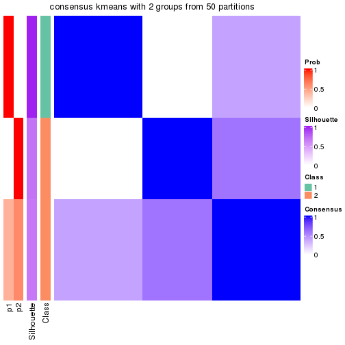 plot of chunk tab-node-04-consensus-heatmap-1