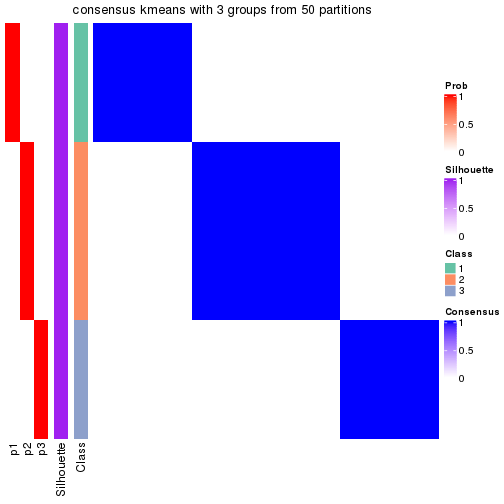 plot of chunk tab-node-04-consensus-heatmap-2